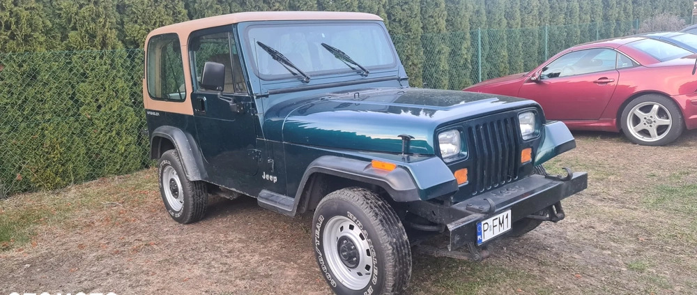 Jeep Wrangler cena 46000 przebieg: 123660, rok produkcji 1994 z Ruda Śląska małe 172